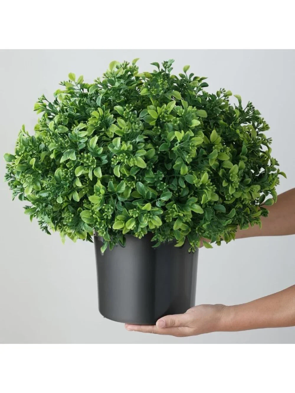 Set of 2 Green Artificial Boxwood Topiary Balls for Front Door Decor